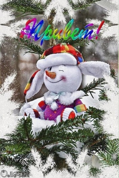 Зимний привет