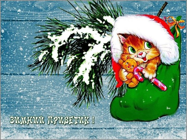 Зимний привет