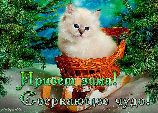 Зимний привет