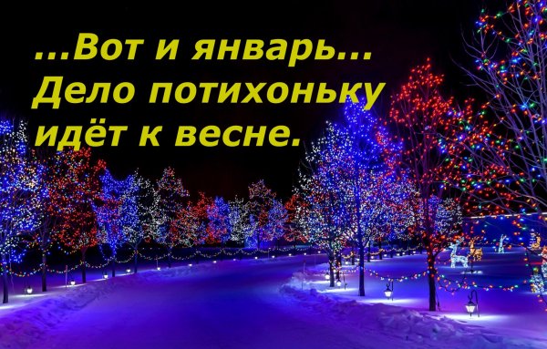 Открытки 4 января