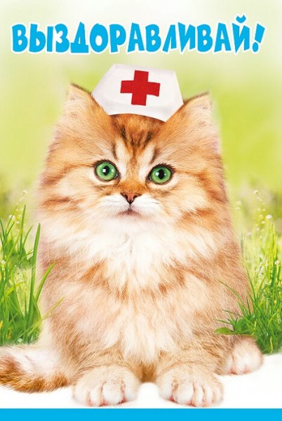 Открытка выздоравливайте
