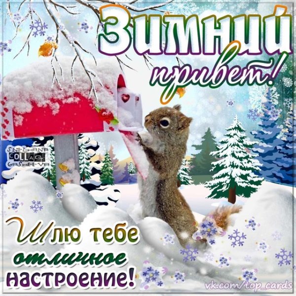 Красивые зимние приветы
