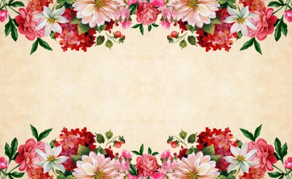 Цветы по краям