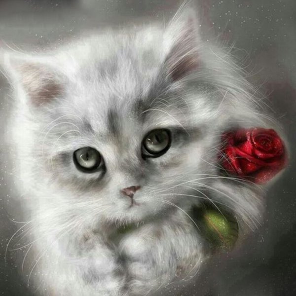 Я тебя люблю котенок