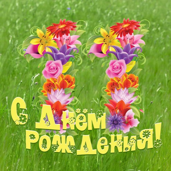 С днем рождения 11 лет