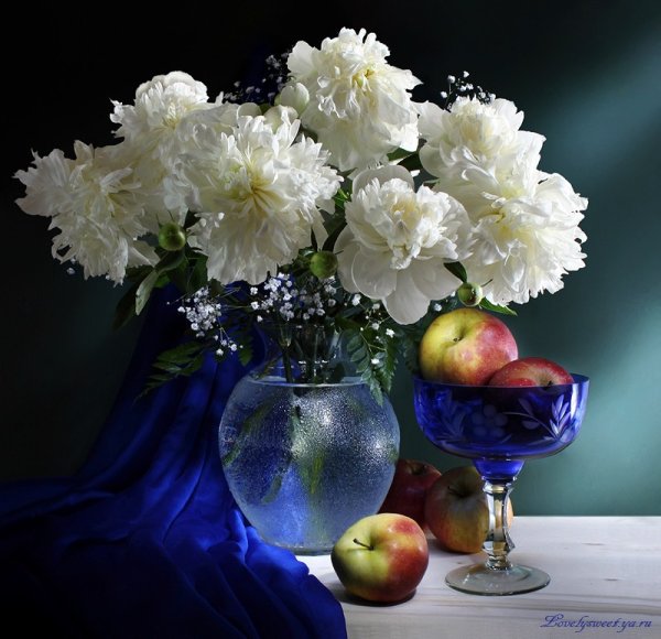 Вечерочка доброго кот