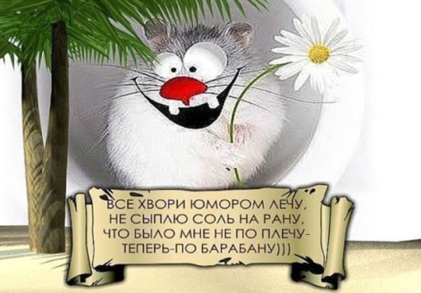 Открытки хорошего настроения прикольные