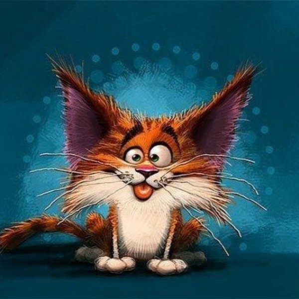 Прикольные пожелания на каждый день