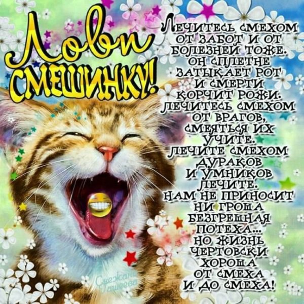 Открытки позитивные смешные