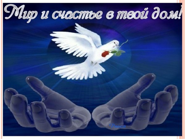 Мира и добра вашей семье