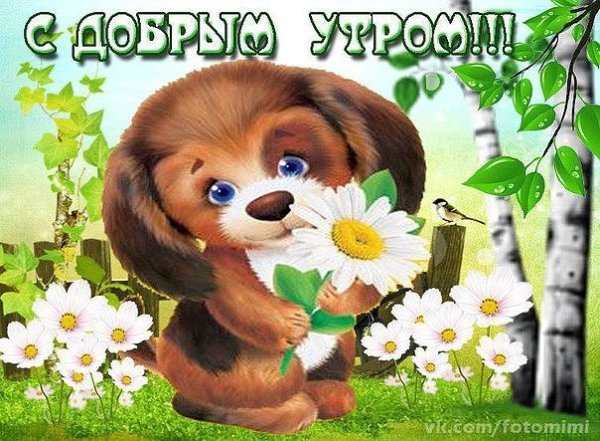 Хорошие красивые детские открытки с добрым утром