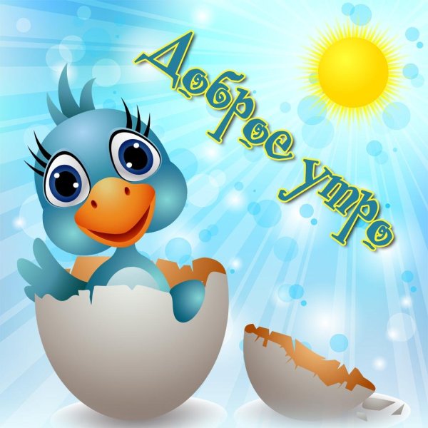 Прикольные КОТКРЫТКИ С добрым утром
