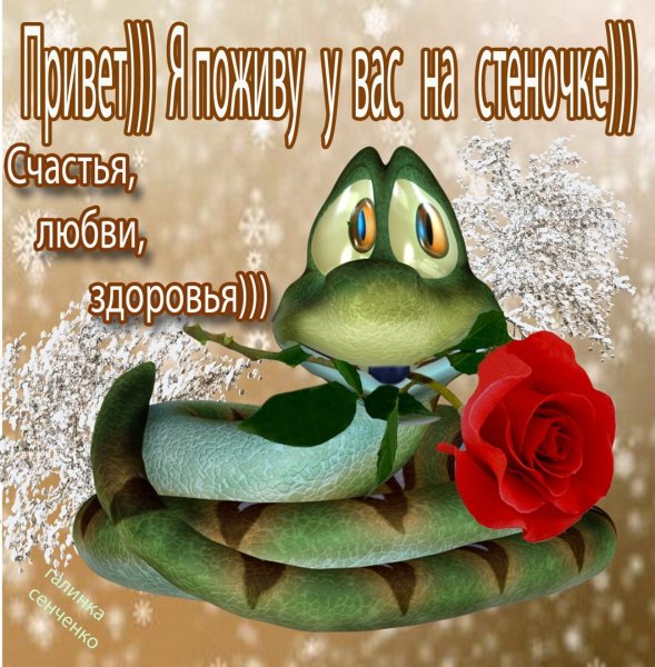 Счастья здоровья любви