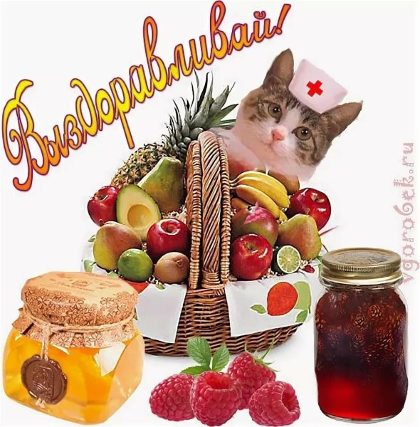 Скорейшего выздоровления прикольные