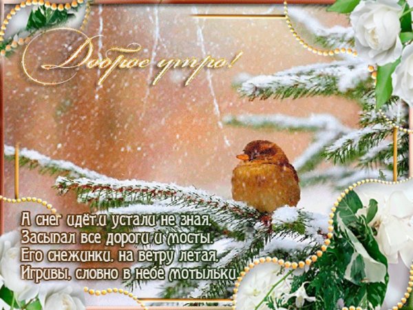 С добрым зимним утром четверга