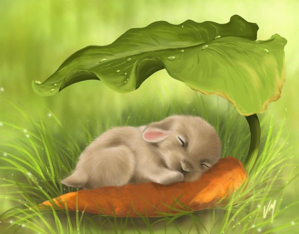 Veronica Minozzi картины