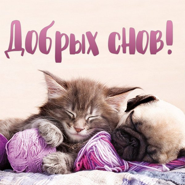 Добрых снов