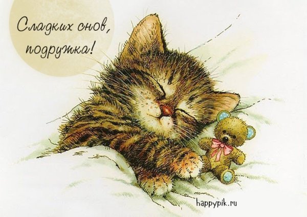 Открытка спящий котик