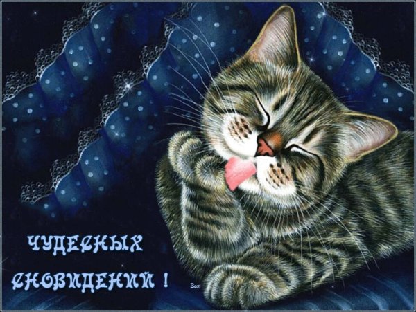 Стикеры доброй ночи с котом