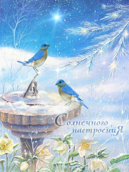 Доброго волшебного утра и чудесного дня