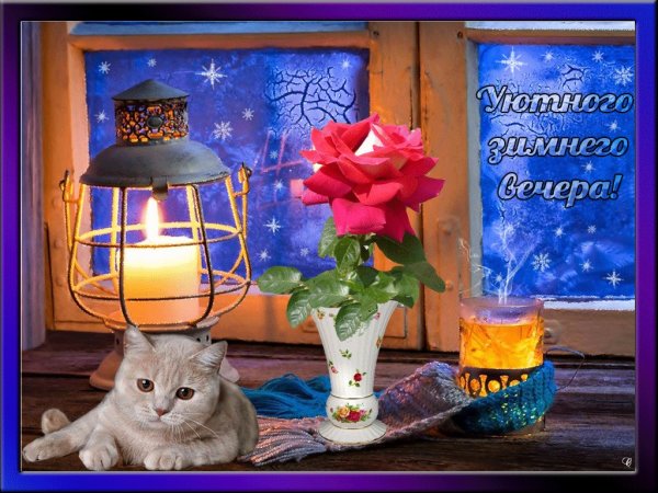 Уютный зимний вечер