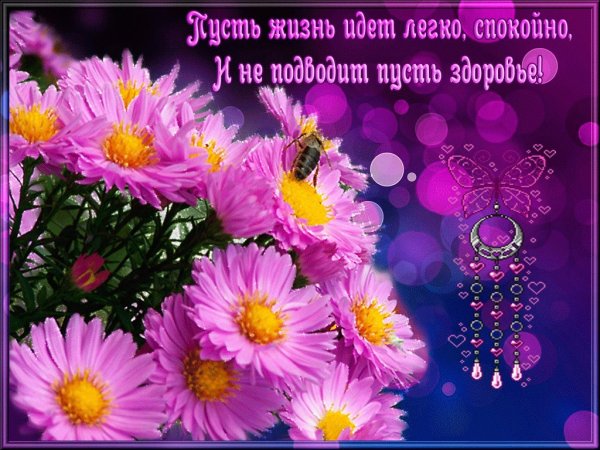 Добрые пожелания