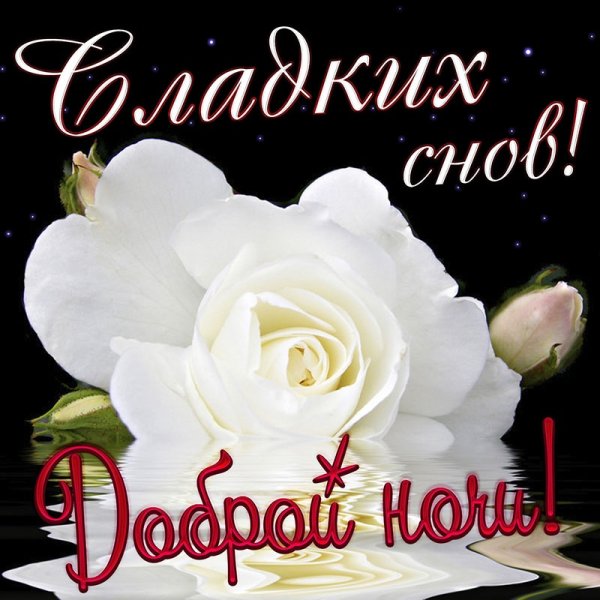 Открытки спокойной ночи женщине