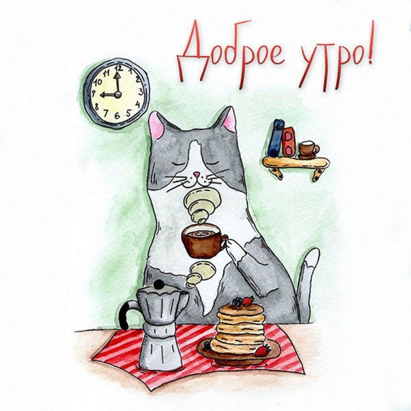 Открытки с добрым утром с юмором