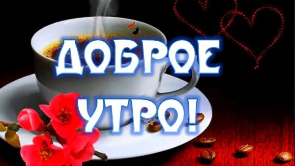 Добри утра любимая жена