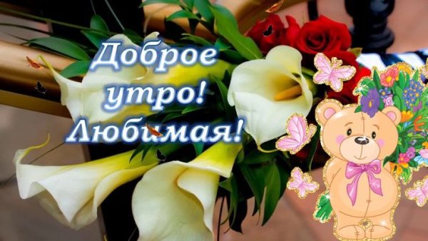 С добрым утром любимая девочка картинки