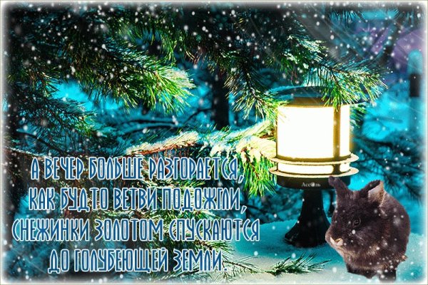 Хорошего зимнего вечера и отличного настроения