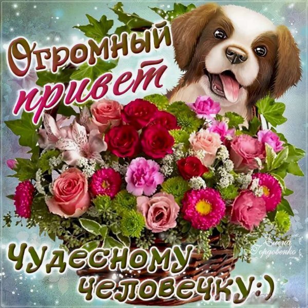 Красивой женщине красивые слова