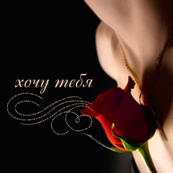 Я хочу тебя