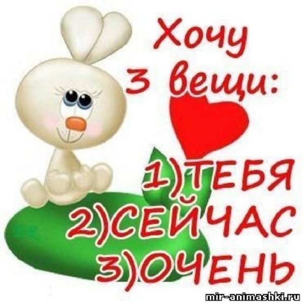 Хочу к тебе