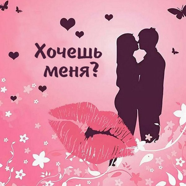 Ты моё безумие