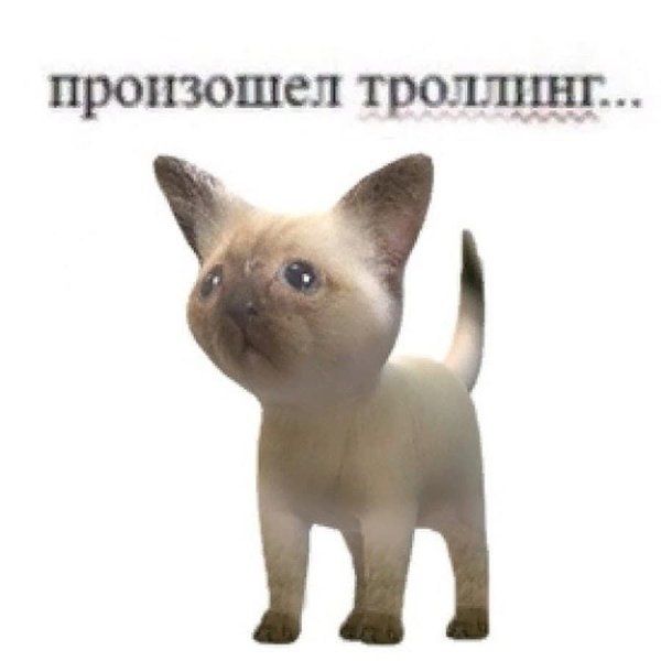 Человек идет Мем