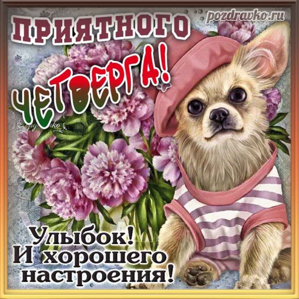 Приятного четверга