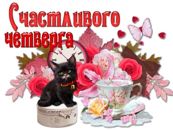 Прекрасного четверга