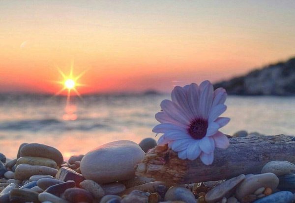 Рассвет закат между ними жизнь