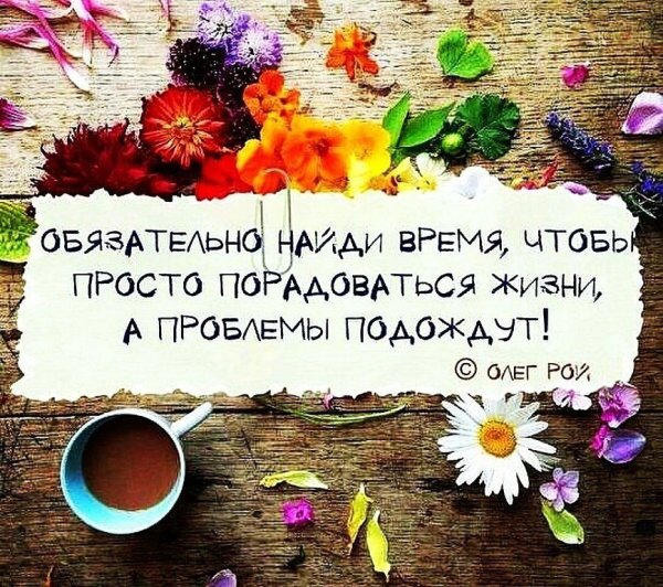 Радость жизни цитаты