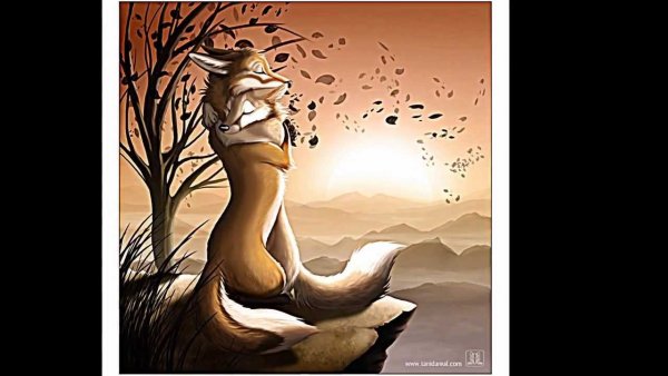 Мудрые изречения о жизни и судьбе