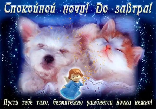 Пожелания спокойной ночи детям