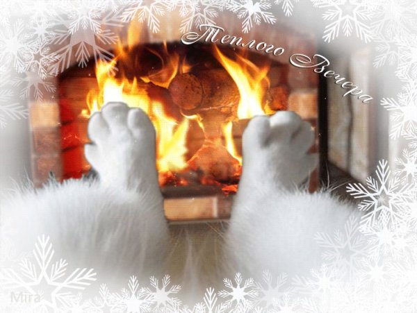 Тепла и уюта в зимний вечер