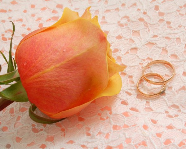 Коралловая свадьба поздравления