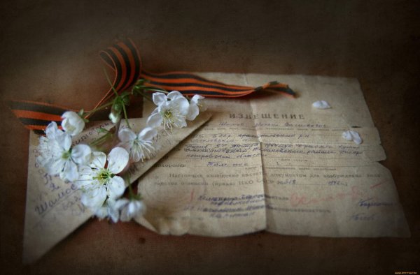 Фотоальбом день Победы