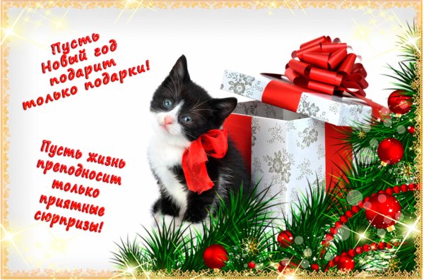 Новогодние пожелания котики