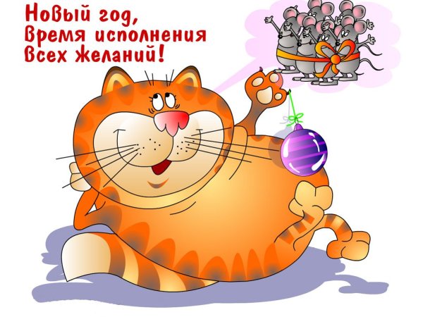 Смешные поздравления с новым днем