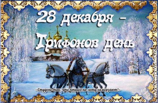 28 Декабря день