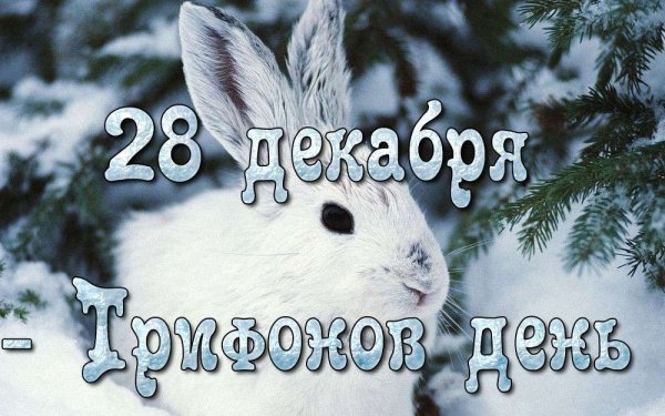 28 Декабря