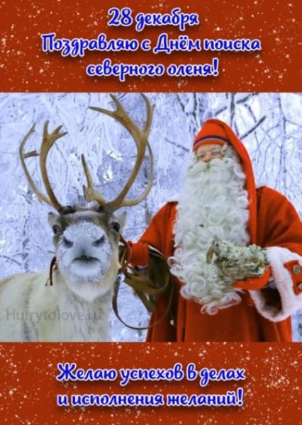 Трифонов день 28 декабря